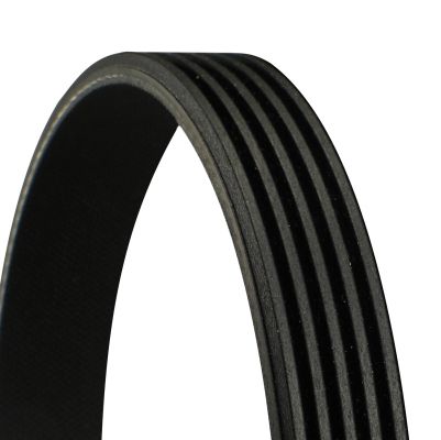 CONTINENTAL CTAM 5PK1010 - Keilrippenriemen