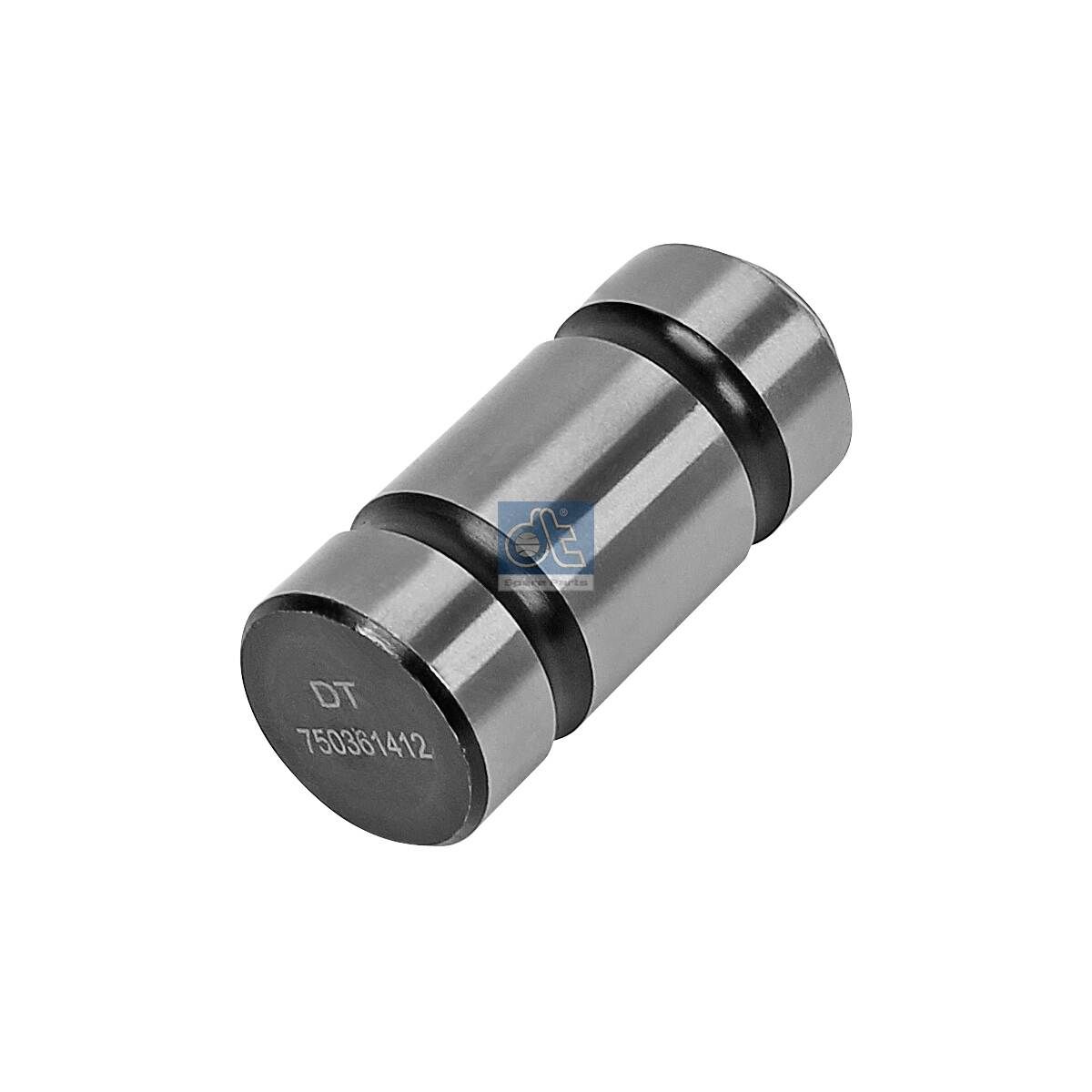 DT Spare Parts 10.13251 - Bolzen, Bremsbackenrolle