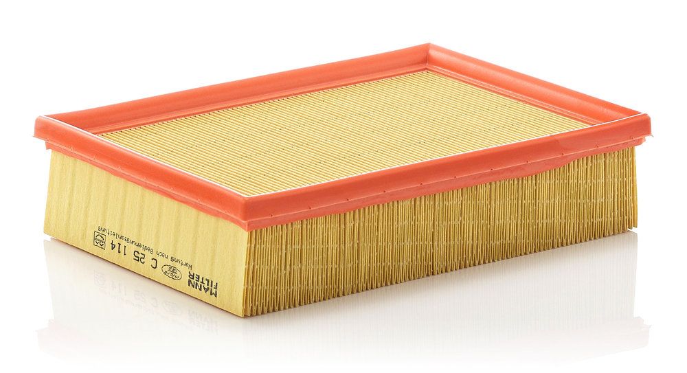 MANN-FILTER C 25 114 - Luftfilter