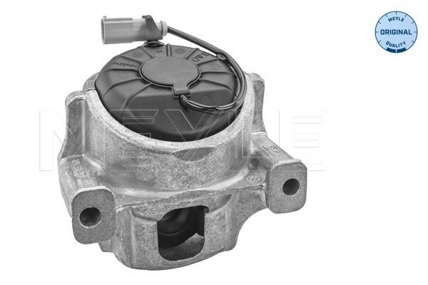 MEYLE 100 199 1006 - Lagerung, Motor
