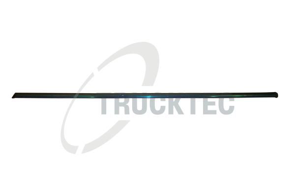 TRUCKTEC AUTOMOTIVE 02.52.108 - Zier-/Schutzleiste, Tür