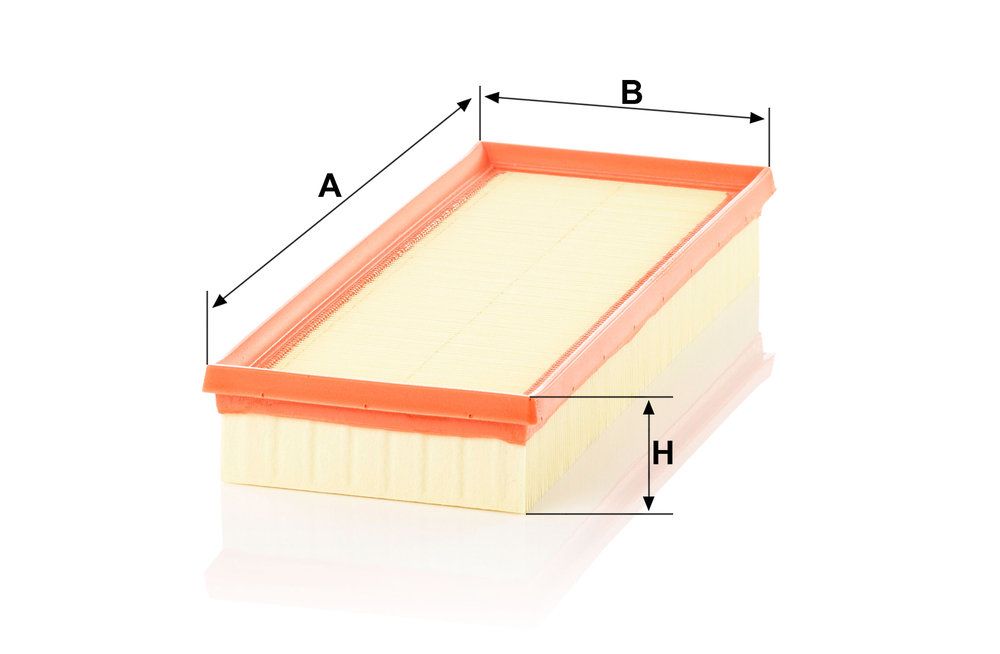 MANN-FILTER C 36 007 KIT - Luftfilter