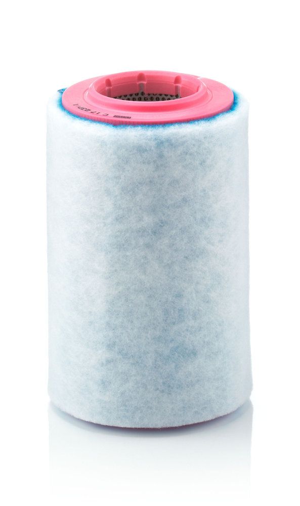 MANN-FILTER C 17 237/1 - Luftfilter