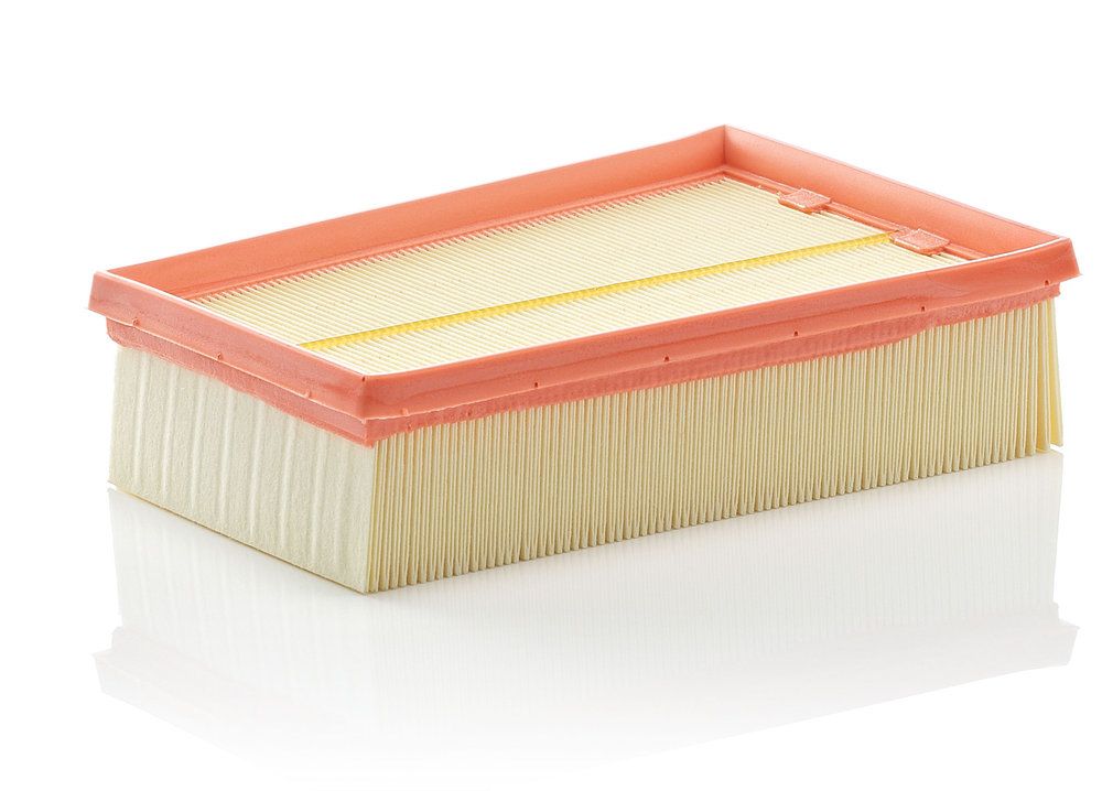 MANN-FILTER C 2433/2 - Luftfilter