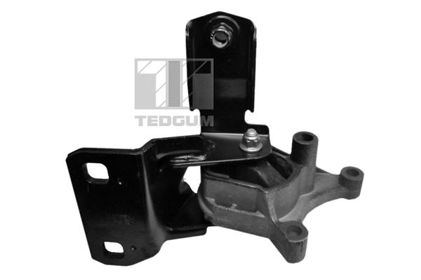 TEDGUM 00226621 - Lagerung, Motor