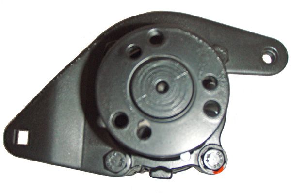 LIZARTE 04.23.0300 - Hydraulikpumpe, Lenkung