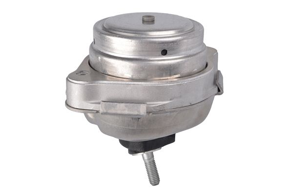 TEDGUM 00088466 - Lagerung, Motor