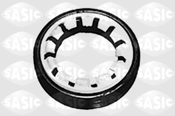 SASIC 1213263 - Wellendichtring, Differential
