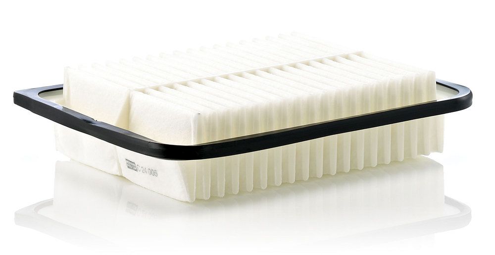 MANN-FILTER C 24 005 - Luftfilter