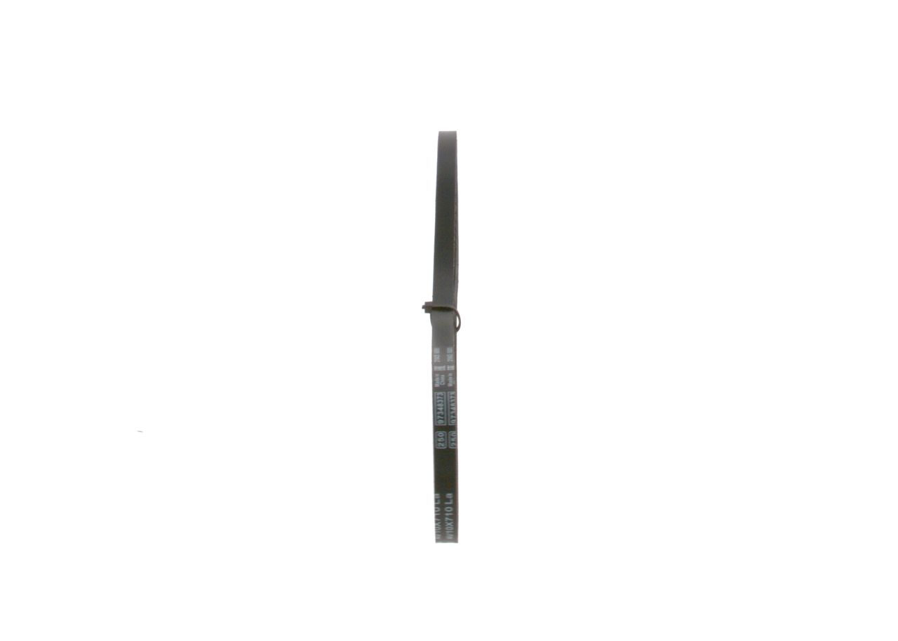 BOSCH 1 987 947 683 - Keilriemen