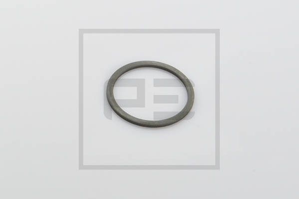 PE Automotive 016.159-00A - Distanzscheibe, Bremswelle