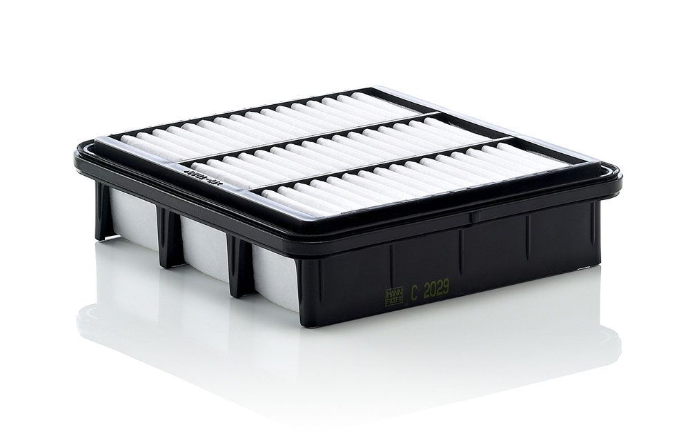 MANN-FILTER C 2029 - Luftfilter