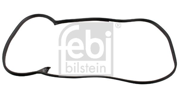 FEBI BILSTEIN 08875 - Türdichtung