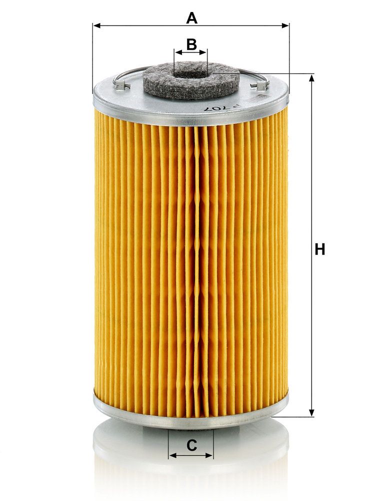 MANN-FILTER P 707 x - Kraftstofffilter