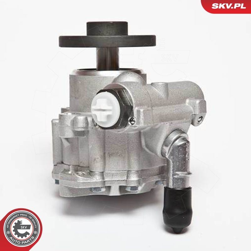 ESEN SKV 10SKV123 - Hydraulikpumpe, Lenkung