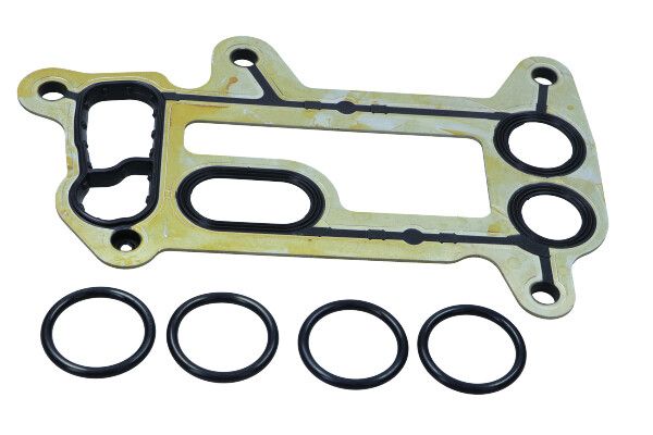 MAXGEAR 70-0152 - Dichtung, Ölkühler