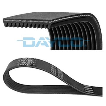 DAYCO 12PK1300HD - Keilrippenriemen