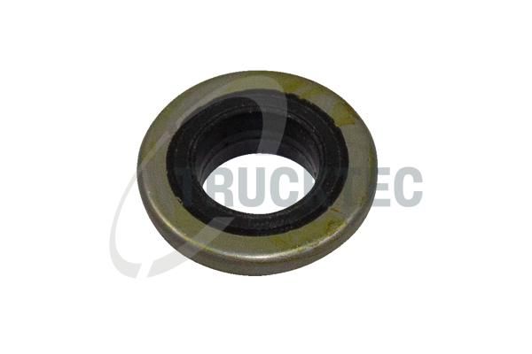 TRUCKTEC AUTOMOTIVE 01.10.190 - Dichtung, Zylinderkopfhaubenschrauben