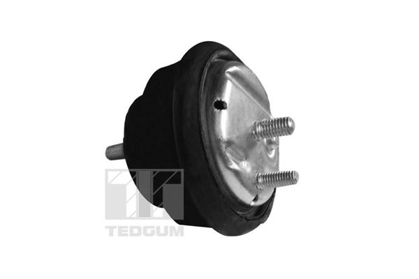 TEDGUM 00089778 - Lagerung, Motor