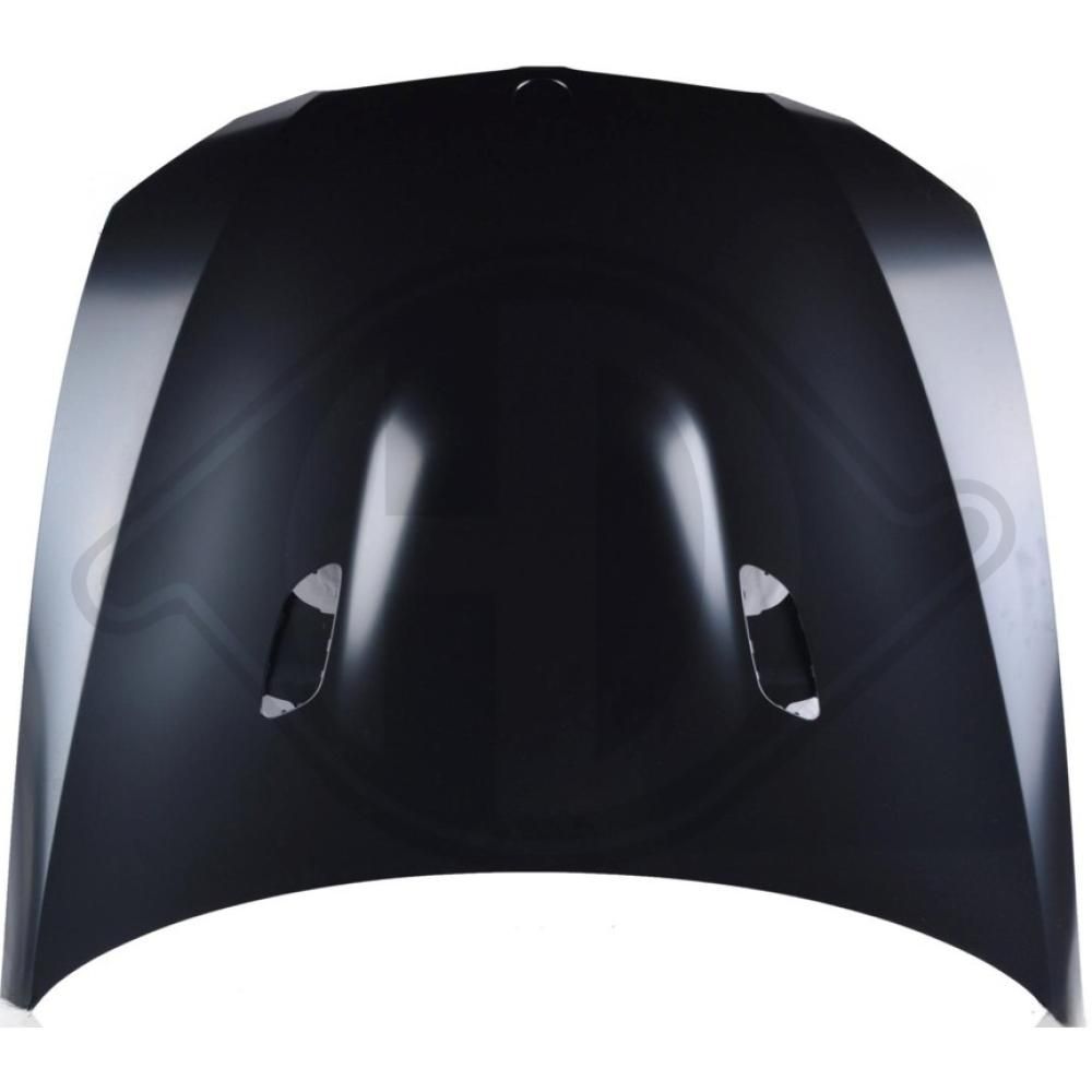 DIEDERICHS 1216202 - Motorhaube