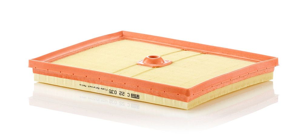 MANN-FILTER C 22 035 - Luftfilter