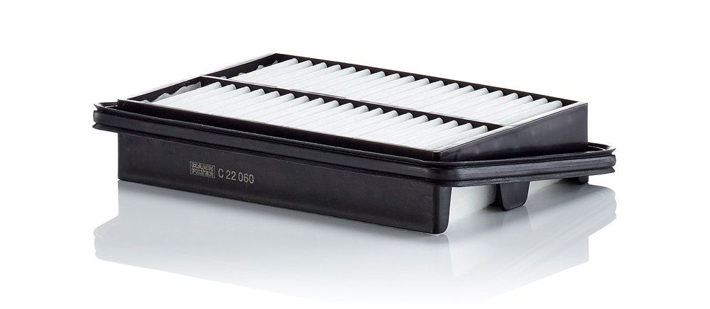MANN-FILTER C 22 060 - Luftfilter