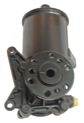 LIZARTE 04.48.0117 - Hydraulikpumpe, Lenkung