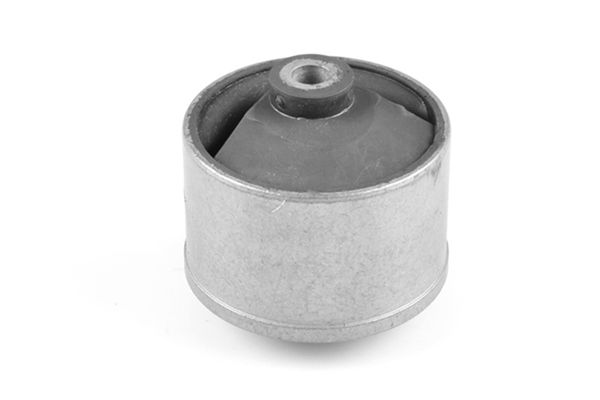 TEDGUM 00447927 - Lagerung, Motor