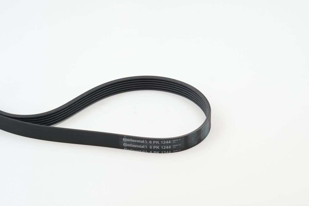 CONTINENTAL CTAM 6PK1244 - Keilrippenriemen