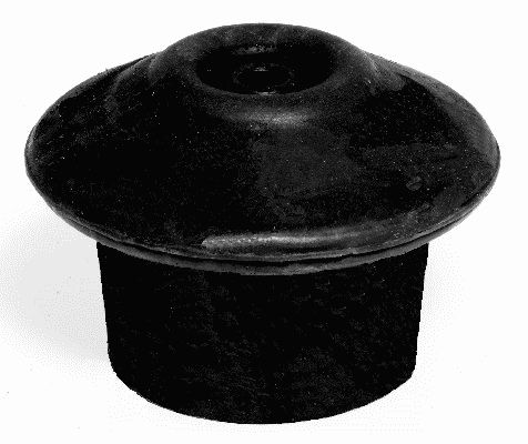 LEMFÖRDER 16597 01 - Lagerung, Motor