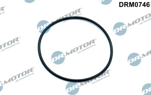Dr.Motor Automotive DRM0746 - Dichtung, Unterdruckpumpe