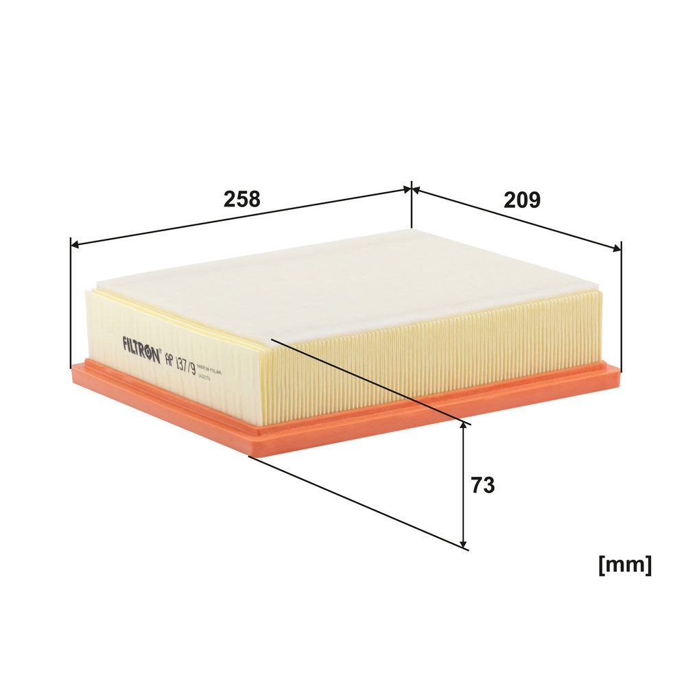 FILTRON AP 137/9 - Luftfilter