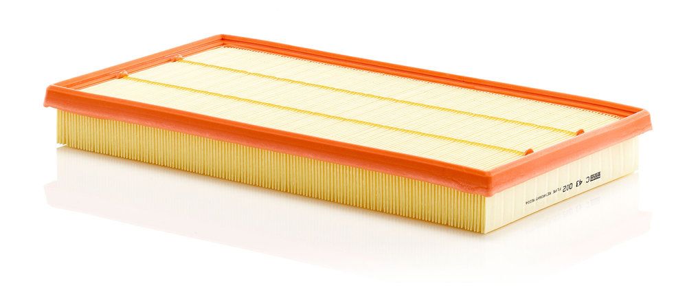 MANN-FILTER C 43 002 - Luftfilter