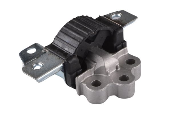 TEDGUM 00219579 - Lagerung, Motor