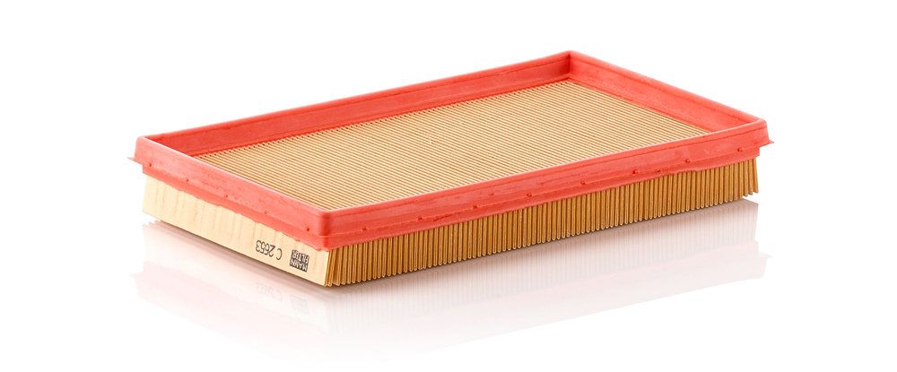 MANN-FILTER C 2653 - Luftfilter