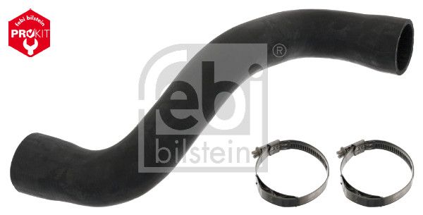 FEBI BILSTEIN 101244 - Kühlerschlauch