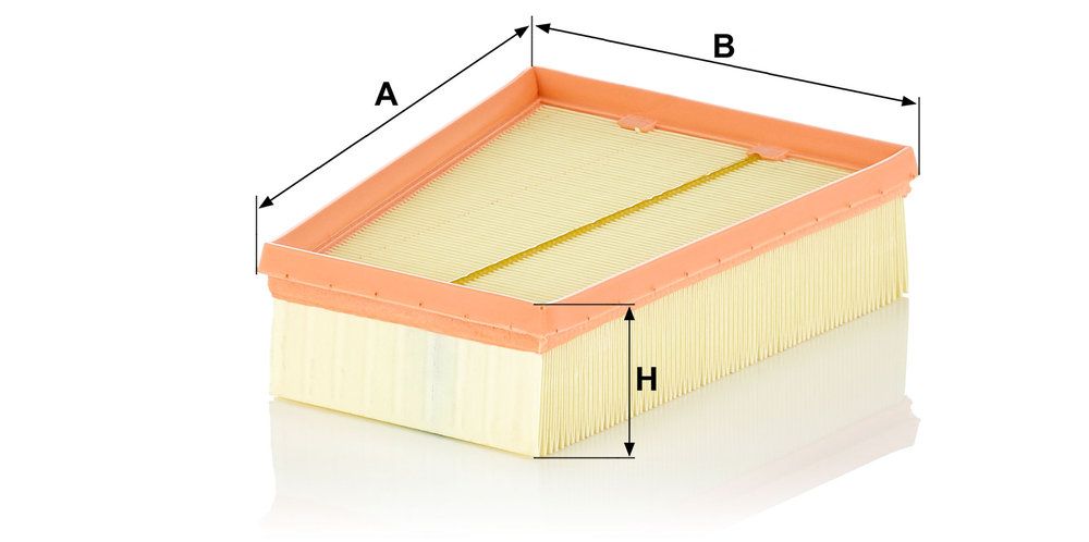 MANN-FILTER C 25 115 - Luftfilter