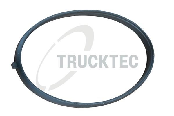 TRUCKTEC AUTOMOTIVE 02.16.055 - Dichtung, Ansaugkrümmergehäuse