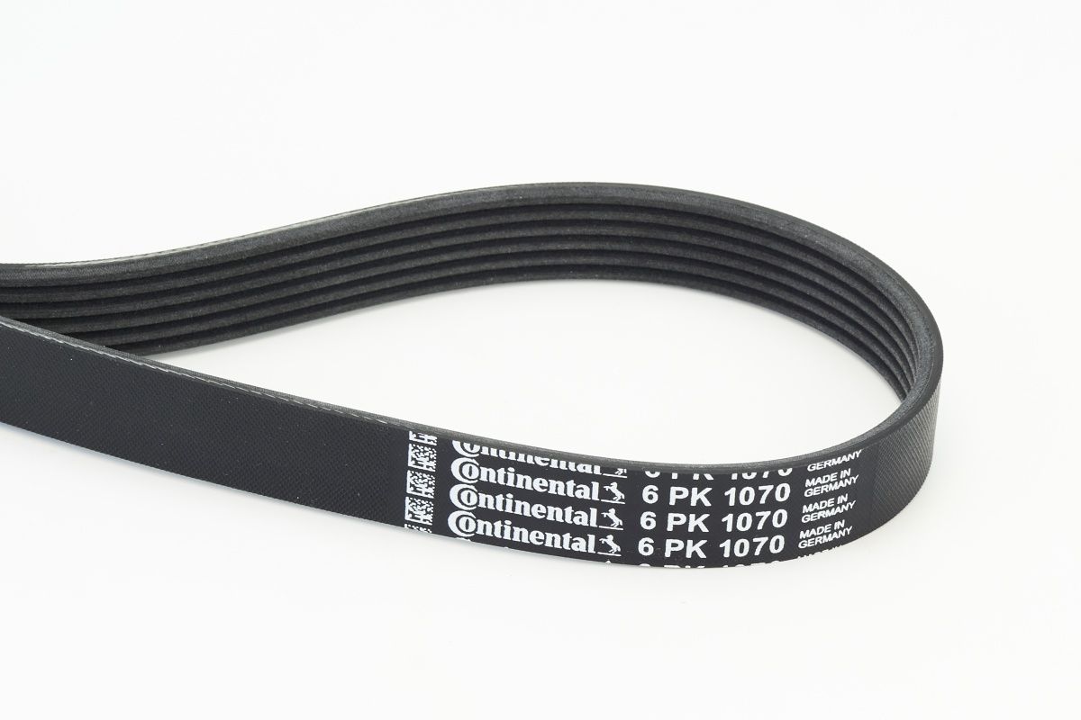 CONTINENTAL CTAM 6PK1070 - Keilrippenriemen