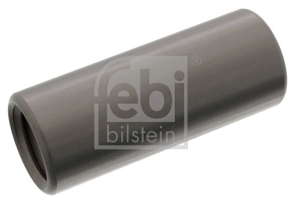 FEBI BILSTEIN 06437 - Buchse, Federauge
