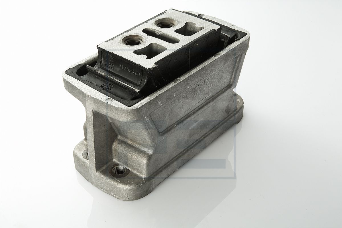 PE Automotive 010.563-00A - Lagerung, Motor