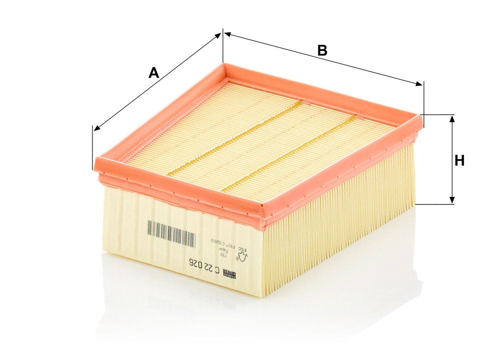 MANN-FILTER C 22 026 - Luftfilter