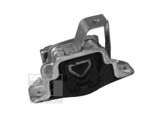 TEDGUM 00219490 - Lagerung, Motor