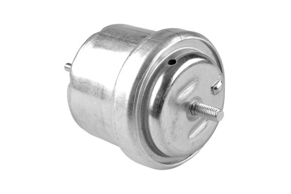 TEDGUM 00504642 - Lagerung, Motor