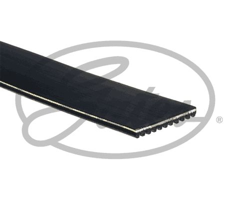 GATES 11PK1545HD - Keilrippenriemen