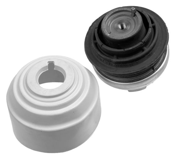 LEMFÖRDER 25407 01 - Lagerung, Motor