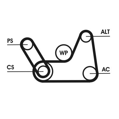 CONTINENTAL CTAM 6PK1019 ELAST T1 - Keilrippenriemensatz