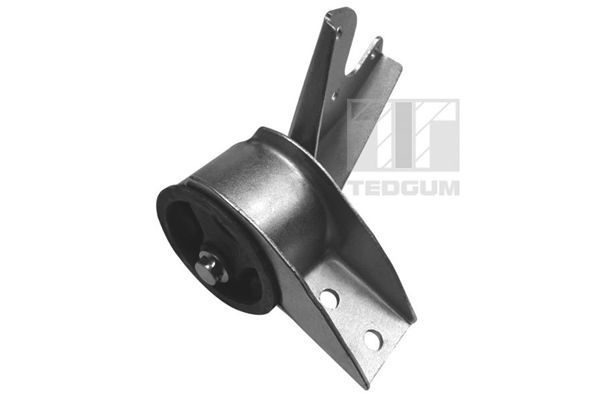 TEDGUM 01004253 - Lagerung, Motor