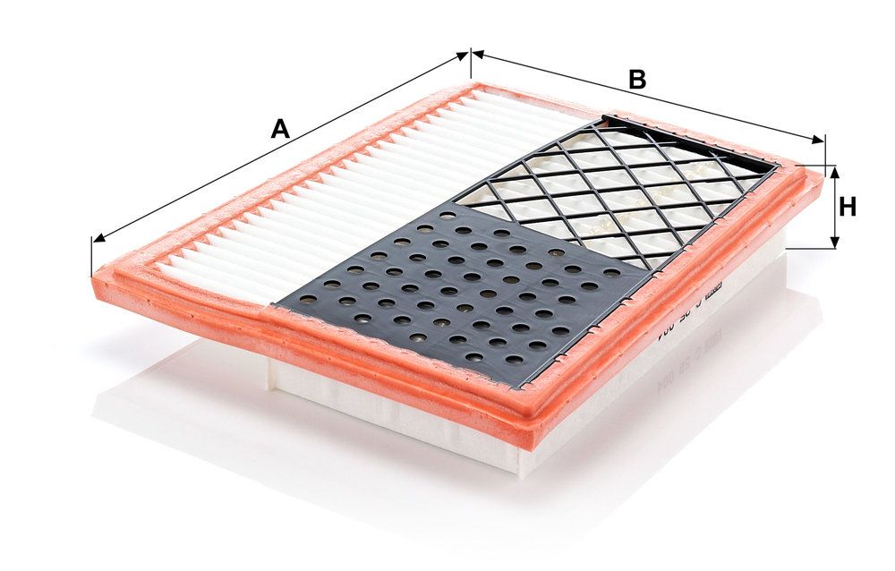 MANN-FILTER C 25 004 - Luftfilter