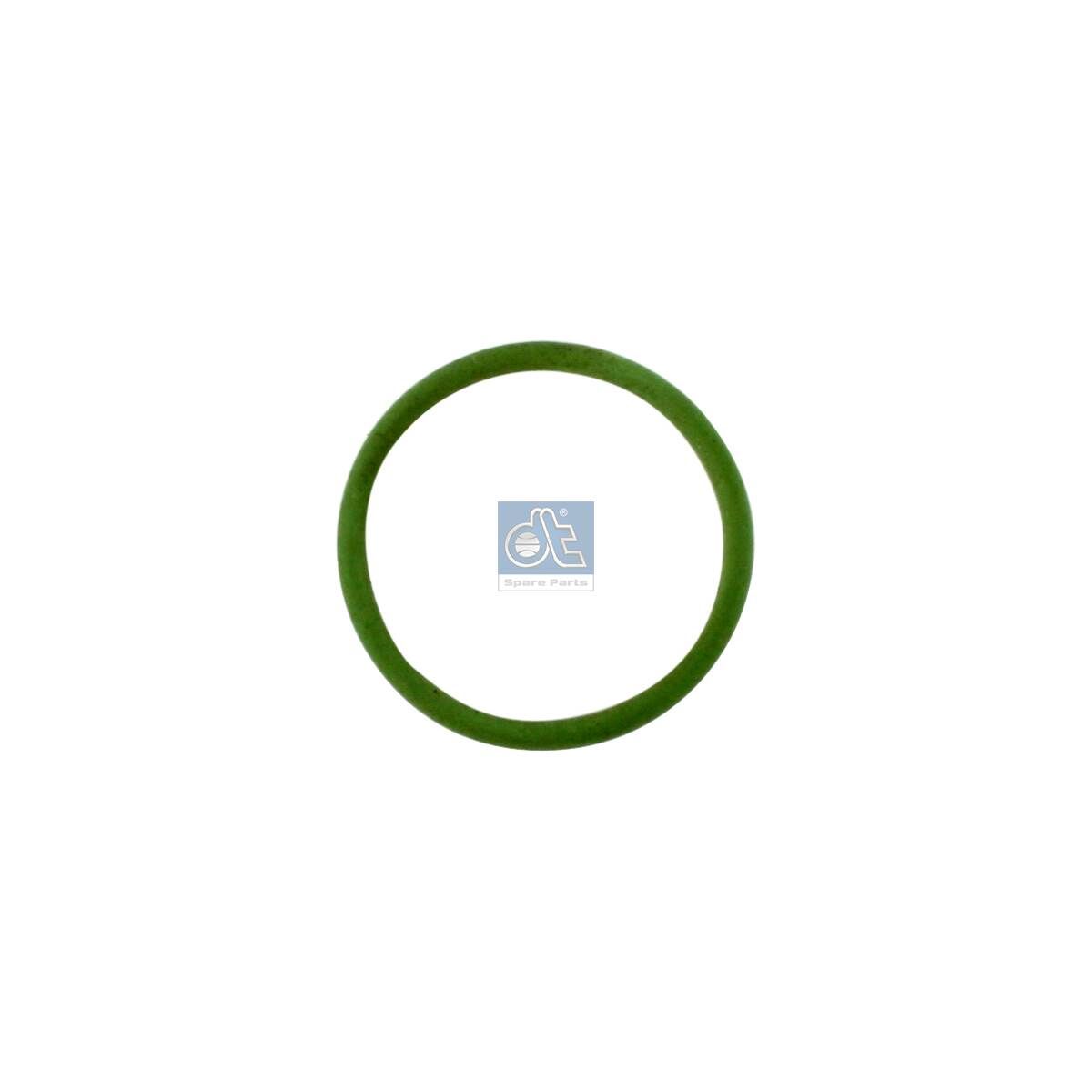 DT Spare Parts 1.10179 - Dichtring